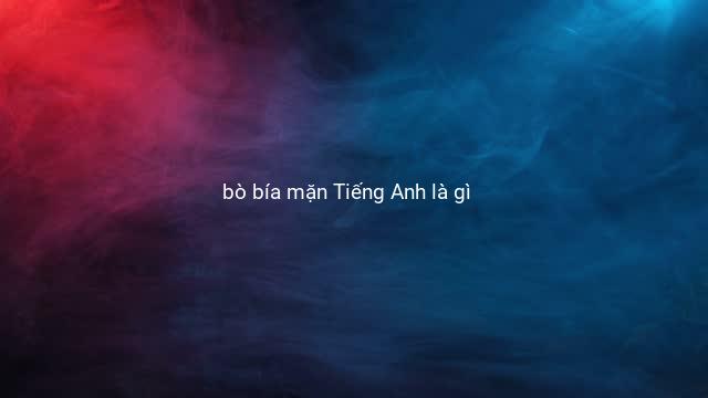 bò bía mặn Tiếng Anh là gì